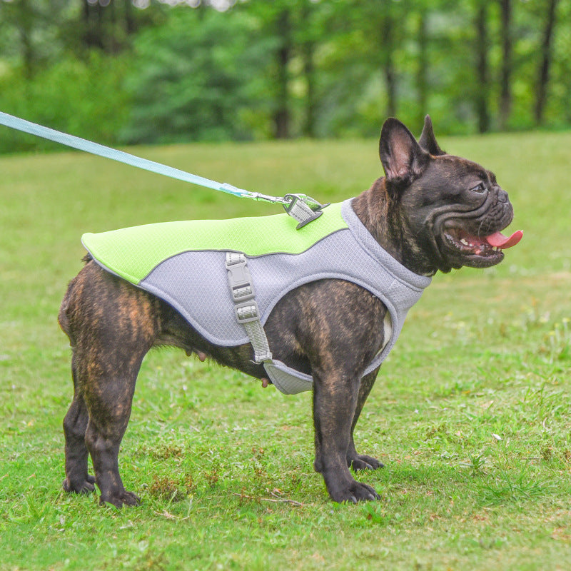 Fashion Personality Dog Summer Heatstroke Vest